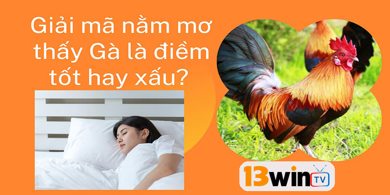 Mơ thấy gà trống đánh con gì?