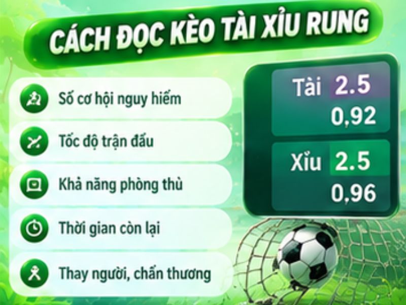 Cách Đọc Kèo Tài Xỉu Rung
