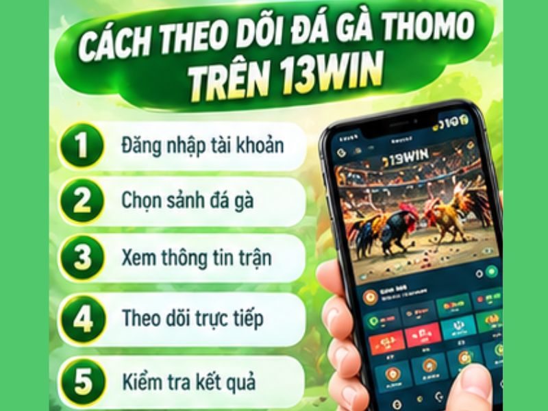 Cách Theo Dõi Đá Gà Thomo 13WIN