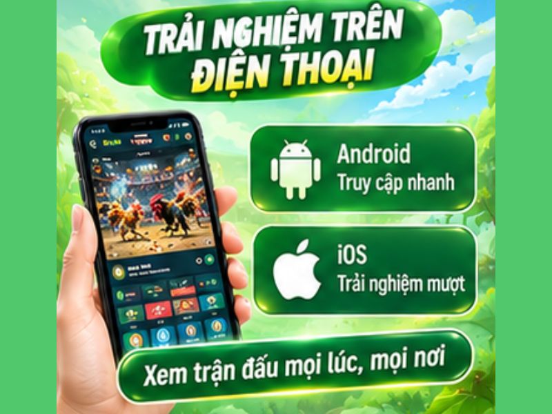 Đá Gà Thomo 13WIN Trên Điện Thoại