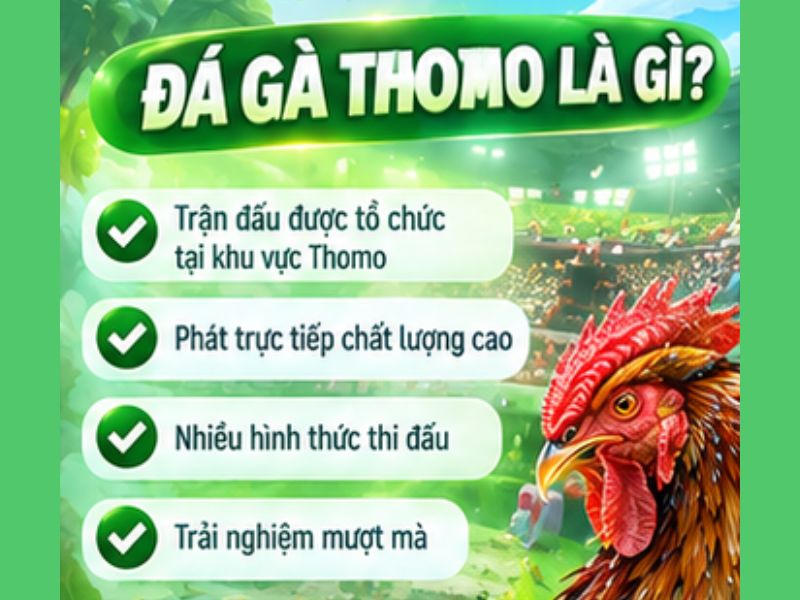Đá Gà Thomo Là Gì